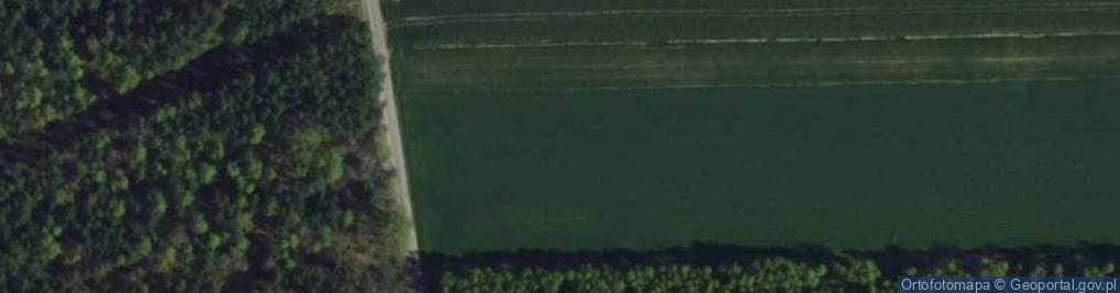 Zdjęcie satelitarne Adamów ul.