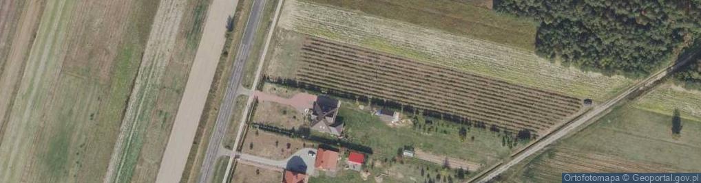 Zdjęcie satelitarne Adamówka ul.