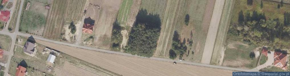 Zdjęcie satelitarne Adamówka ul.