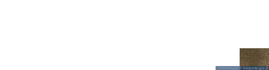 Zdjęcie satelitarne Adamowo ul.