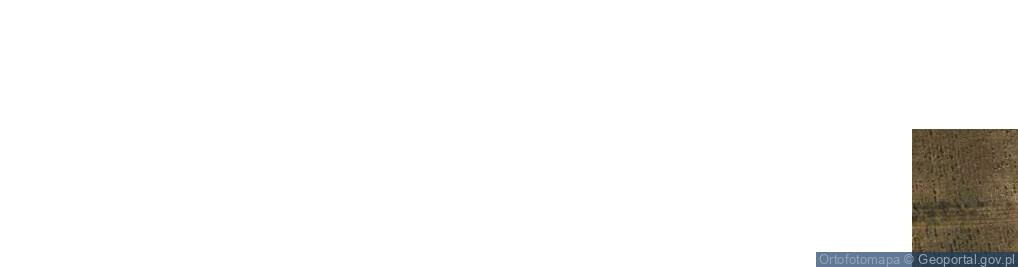 Zdjęcie satelitarne Adamowo ul.