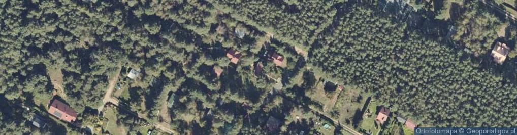 Zdjęcie satelitarne Adamowo ul.