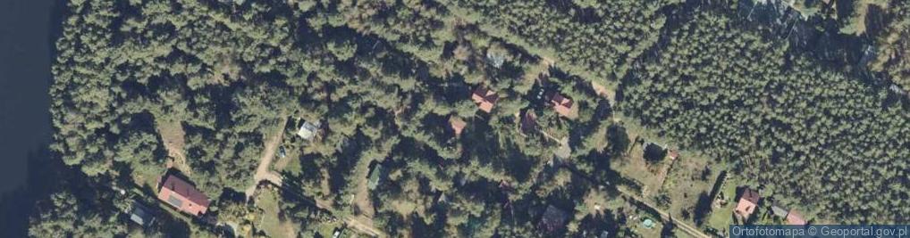 Zdjęcie satelitarne Adamowo ul.