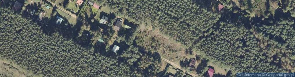Zdjęcie satelitarne Adamowo ul.