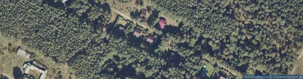 Zdjęcie satelitarne Adamowo ul.