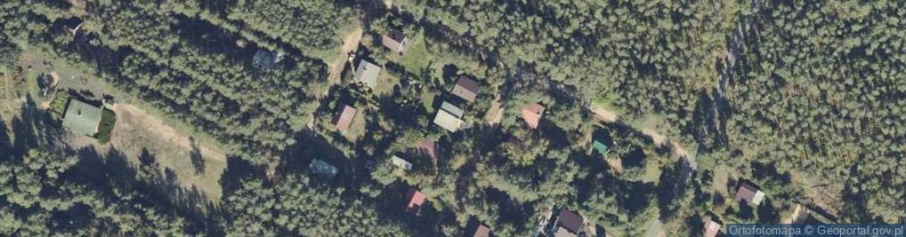 Zdjęcie satelitarne Adamowo ul.
