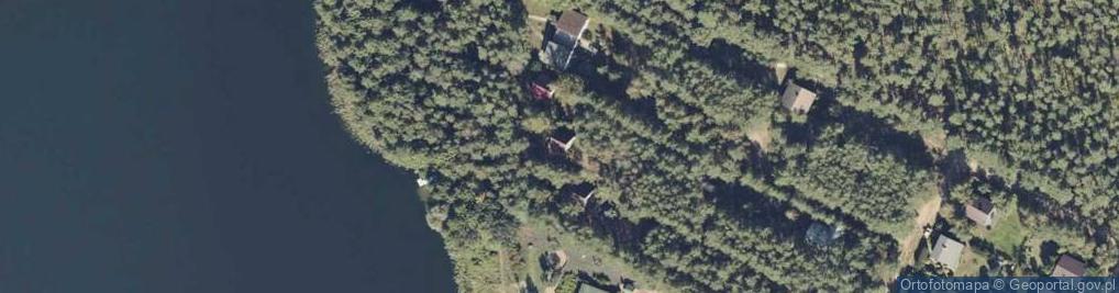 Zdjęcie satelitarne Adamowo ul.