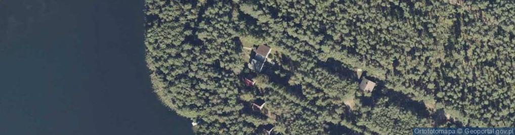 Zdjęcie satelitarne Adamowo ul.