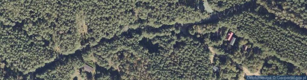 Zdjęcie satelitarne Adamowo ul.