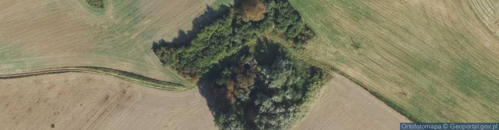 Zdjęcie satelitarne Adamowo ul.