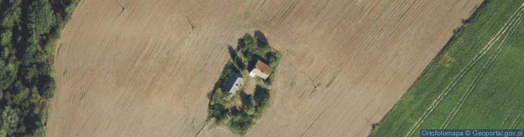 Zdjęcie satelitarne Adamowo ul.