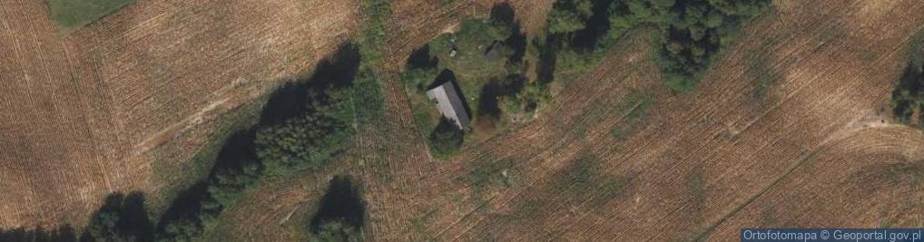 Zdjęcie satelitarne Adamowo ul.