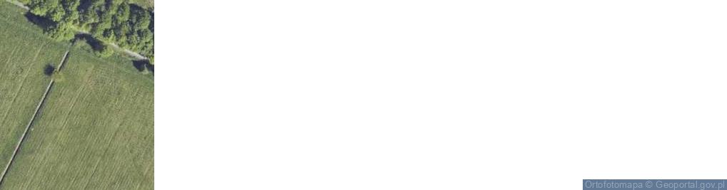 Zdjęcie satelitarne Adolfin ul.