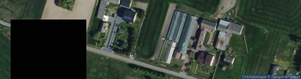 Zdjęcie satelitarne Adamów ul.