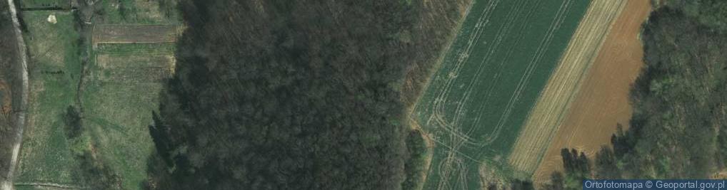 Zdjęcie satelitarne Akacjowa ul.