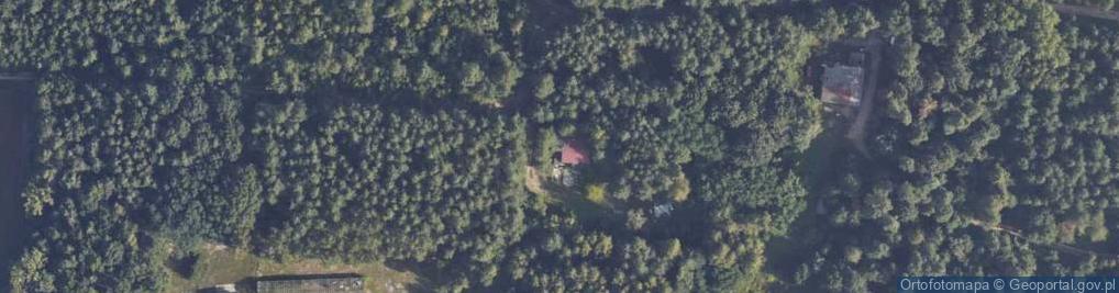 Zdjęcie satelitarne Akacjowa ul.