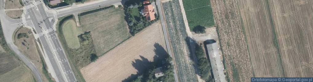 Zdjęcie satelitarne Akacjowa ul.