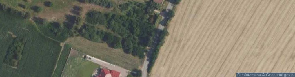 Zdjęcie satelitarne Akacjowa ul.