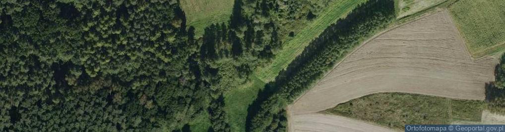 Zdjęcie satelitarne Akacjowa ul.