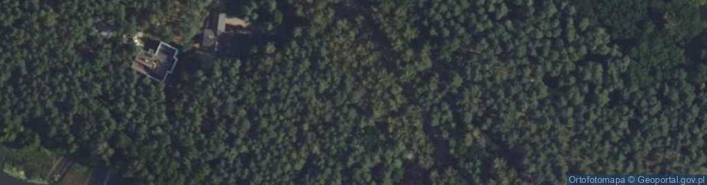 Zdjęcie satelitarne Akacjowa ul.
