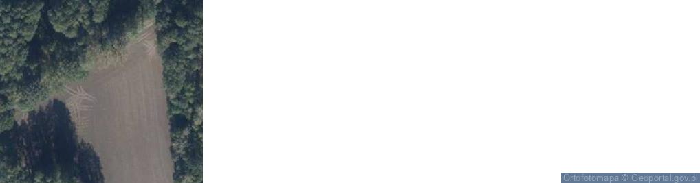 Zdjęcie satelitarne Albertowsko ul.