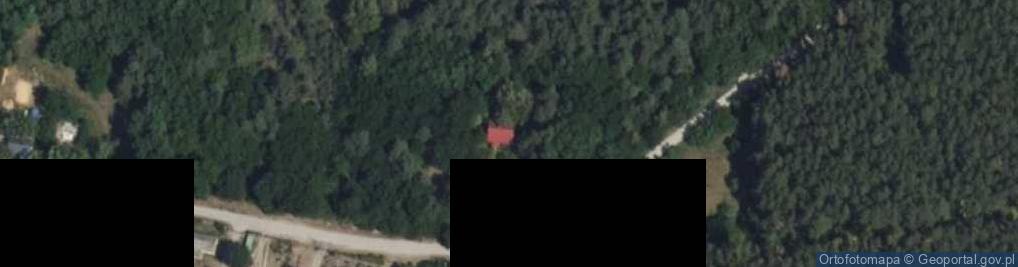 Zdjęcie satelitarne Aleksandrów ul.