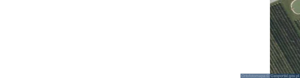 Zdjęcie satelitarne Aleksandrów ul.