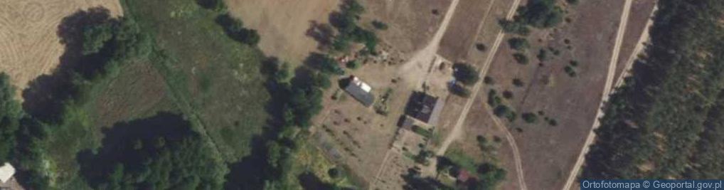 Zdjęcie satelitarne Alfonsów ul.