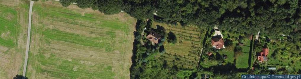 Zdjęcie satelitarne Aleja Jurajska al.