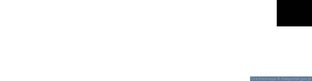Zdjęcie satelitarne Aleja 1 Maja al.