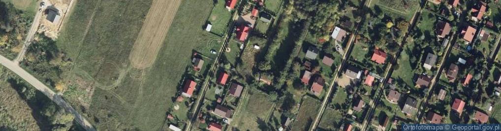 Zdjęcie satelitarne Aleja XIX al.
