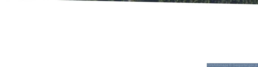 Zdjęcie satelitarne Aleja Kasztanowa al.