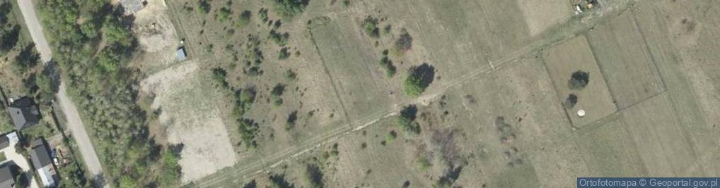 Zdjęcie satelitarne Aleja Palucha Tadeusza al.