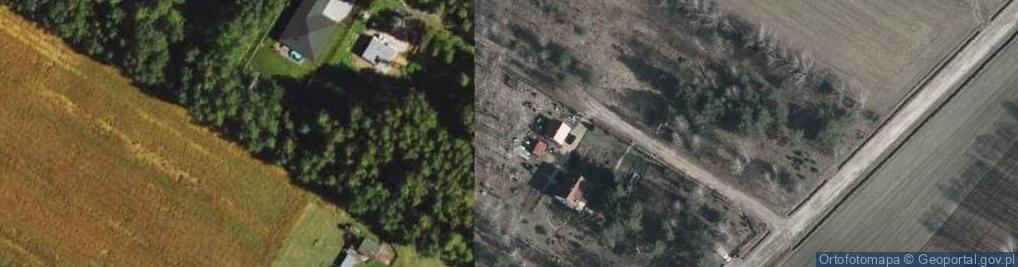 Zdjęcie satelitarne Aleja Nowych Dębów al.