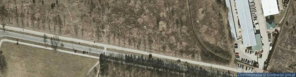 Zdjęcie satelitarne Aleja Młodych al.