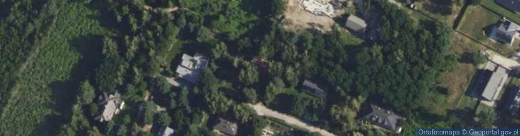 Zdjęcie satelitarne Aleja Modrzewiowa al.