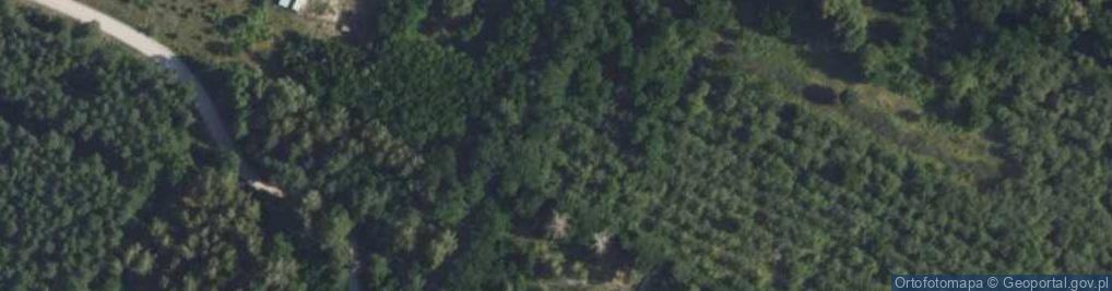 Zdjęcie satelitarne Aleja Sadowa al.