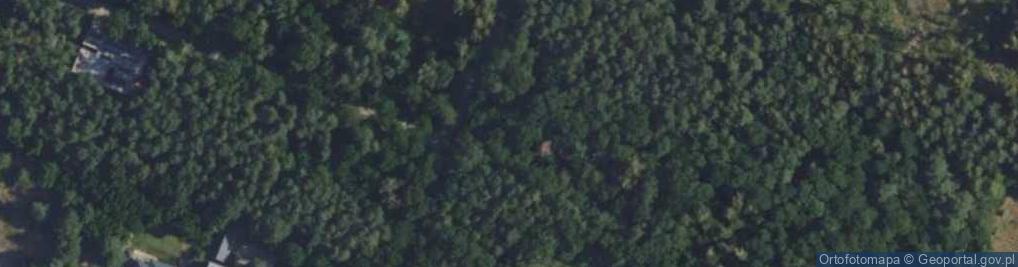 Zdjęcie satelitarne Aleja Sadowa al.