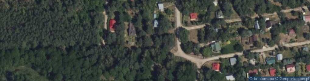 Zdjęcie satelitarne Aleja Lipowa al.