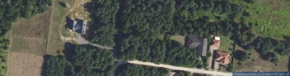 Zdjęcie satelitarne Aleja Cisowa al.