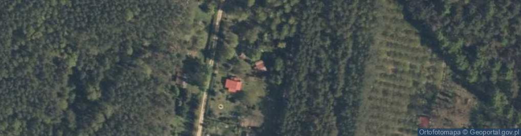 Zdjęcie satelitarne Aleja Krasnoludków al.