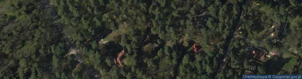 Zdjęcie satelitarne Aleja Brzóz al.