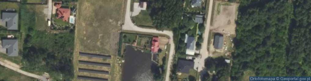 Zdjęcie satelitarne Aleja Lisów al.