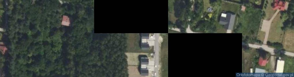 Zdjęcie satelitarne Aleja Lisów al.