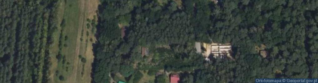 Zdjęcie satelitarne Aleja Prymasa Tysiąclecia al.