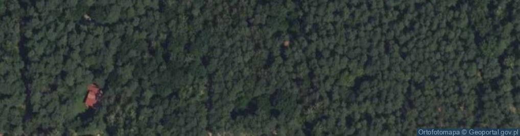 Zdjęcie satelitarne Aleja Wojciechowa al.