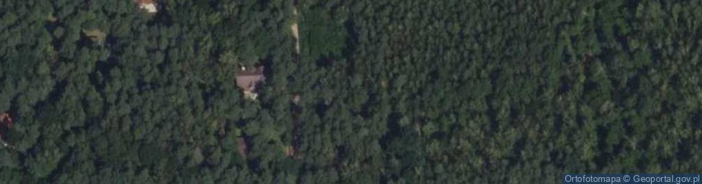 Zdjęcie satelitarne Aleja Wojciechowa al.