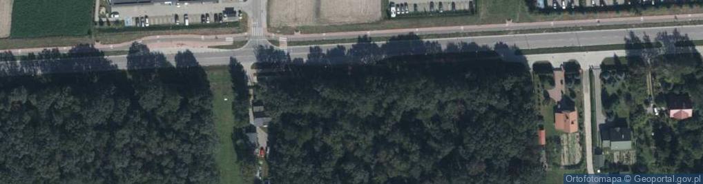 Zdjęcie satelitarne Aleja NSZZ Solidarność al.