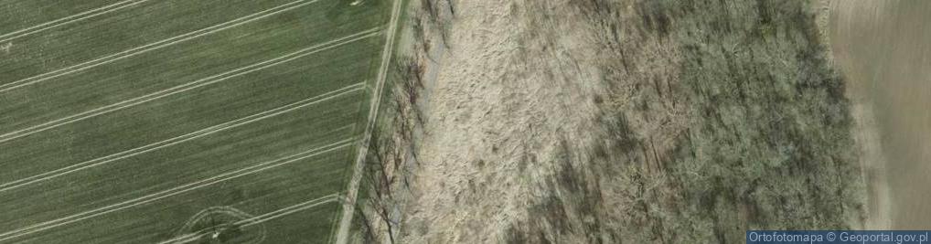 Zdjęcie satelitarne Aleja Dębowa al.