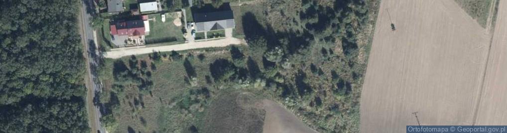 Zdjęcie satelitarne Amurowa ul.